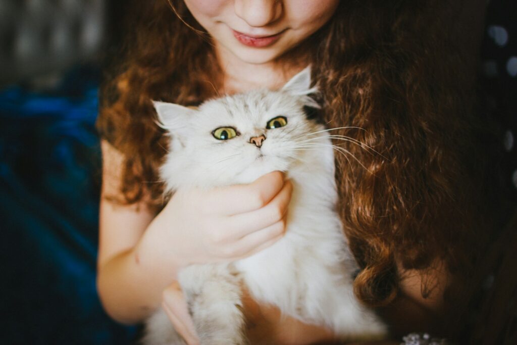 woman holding white cat, things to never do to your cat